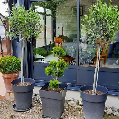Le Pavillon Tilia Vila Montrichard Exterior foto