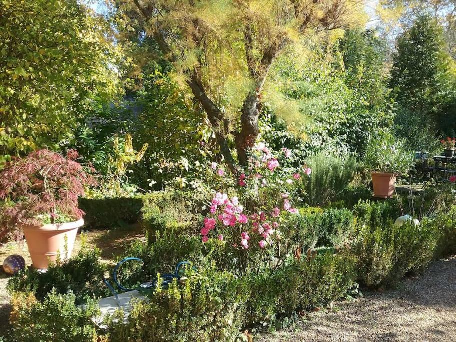 Le Pavillon Tilia Montrichard